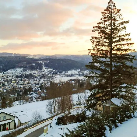 Apartment With One Bedroom In With Wonderful Lake View Terrace And Wifi 2 Km From The Slopes