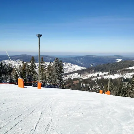 Apartment With One Bedroom In With Wonderful Lake View Terrace And Wifi 2 Km From The Slopes Gerardmer